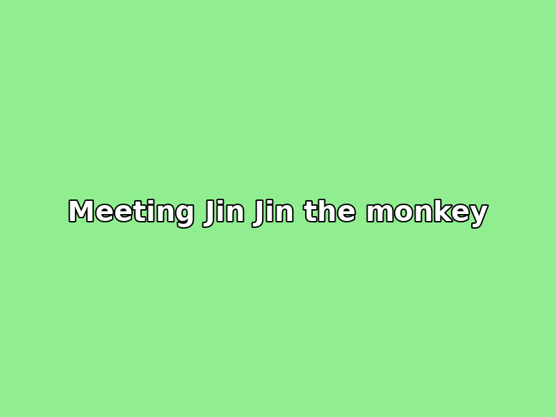 Mei Mei meets Jin Jin the monkey